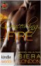 [Fiery Fairy Tales 02] • Concealing Fire